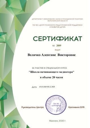 Сертификат по курсам ШНМ
